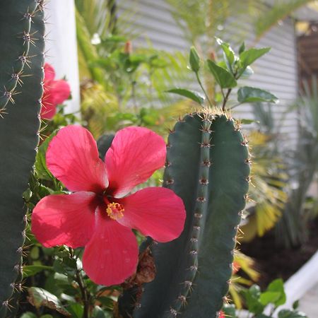 Hotel Sol Playa Playa del Carmen Ngoại thất bức ảnh
